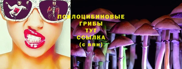 дмт Белокуриха