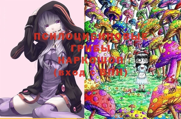дмт Белокуриха