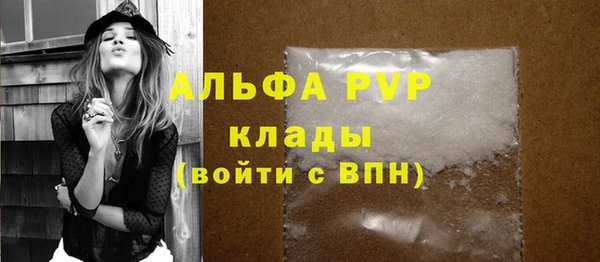 дмт Белокуриха
