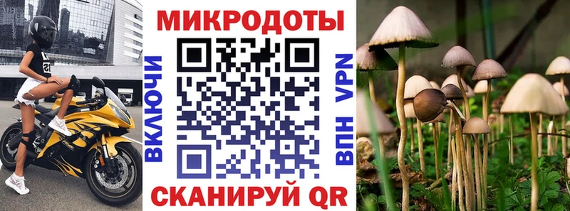 купить закладку  Шацк  Псилоцибиновые грибы Cubensis 
