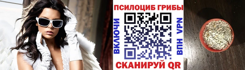 Галлюциногенные грибы мицелий Шацк